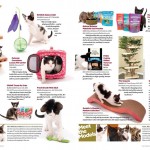 cf_edchoice20111 article-2